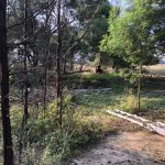 Pretoria Site Clearance